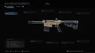 VLK Rogue All Attachments Call of Duty Modern Warfare