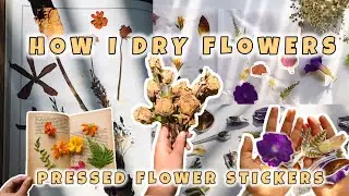 How i dry flowers | Pressed flower stickers | Journal stickers | Malayalam || im rish