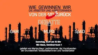 Wie gewinnen wir die Arbeiter und Arbeiterinnen von der AfD zurück?