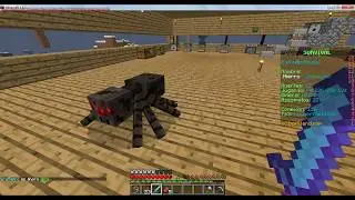 comandos del plugin my pet