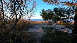 2K Nature Video!