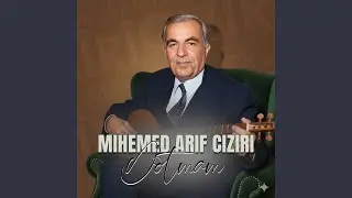 Bêzarê