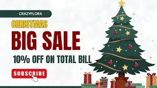 Festive Countdown: Celebrate Christmas & New Year with CrazyFlora!