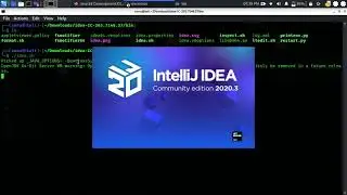 how to open IntelliJIDEA with kali linux