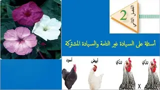 أسئلة على السيادة غير التامة والسيادة المشتركة (الثاني عشر/ علمي) لقاء ZOOM