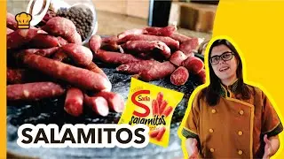 RECEITA SALAME TIPO SALAMITOS | COMO FAZER SALAME FÁCIL E RÁPIDO | CHARCUTARIA SAL DE CURA