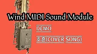 초혼(COVER SONG),Wind MIDI Sound Module, EMEO,YDS-120,YDS-150,전자색소폰, Digital Saxophone