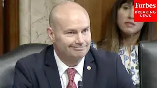 Protestor Shouting 'Affordable Energy Is Clean Energy' Interrupts Mike Lee During Nomination Hearing