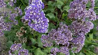 PQ canyon Park walk