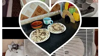 يوم مصرى اصيل💪كشرى مصرى ولا كشرى ابو طارق🍲وهنضف الشفاط بلمسه بس👌ونخزن البطاطين وتفضل ريحتها نضافه🥰🥰