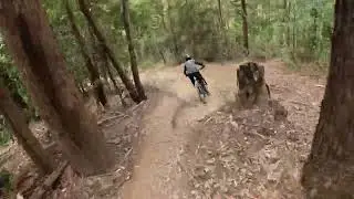 Track Preview Mt  Coramba Downhill 2024
