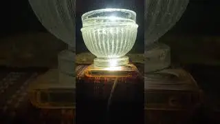 @LittleTreehouseIndia, @trendyshorts4463