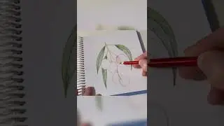 How to draw a Litchi. Color pencils sketching
