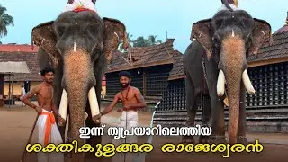 ഇന്നത്തെ പ്രഭാത ശീവേലിക്ക് തൃപ്രയാർ തേവരെ ശിരസ്സിലേറ്റി ശക്തികുളങ്ങര രാജേശ്വരൻ 😍🙏 #kerala #elephant