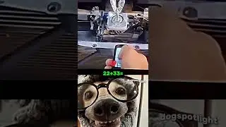 #andrust #funnyeffect #comedyeffect #funnydogreaction #trending