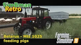 Belarus - Mtz 1025 feeding pigs FS19 - LS19 / manual gears Farming Simulator 19
