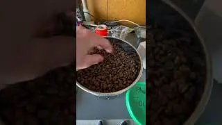 Coffee Cooling Machine