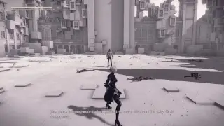 Nier Adam vs 2B