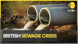 Sewage pollutes British rivers & coastline | Latest World News | English News | WION