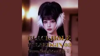 PULSEDGIN 03 - Burn Brighter (불꽃) (PULSEDGIN Original Version)