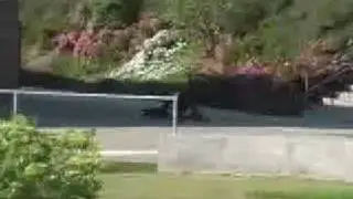 Ryan Dannettelle Bs 180 El Toro