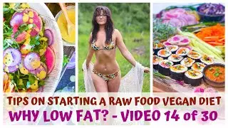 WHY LOW FAT? &bull; TIPS ON STARTING A RAW FOOD VEGAN DIET &bull; VIDEO 14/30