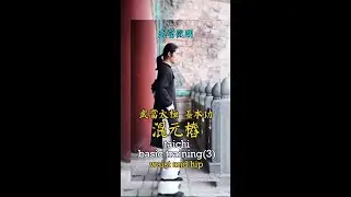 混元桩3  松腰坐胯  初學太極拳基礎入門  taichi Introduction Teaching (3) waist and hip