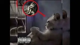Para Saken - (Dyfur)