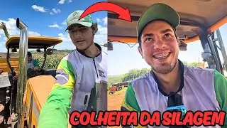 AJUDANDO O VIZINHO NA COLHEITA DA SILAGEM 😍🔥 | SAFRA 25/26