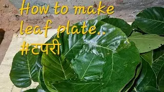 How to make leaf plate. Eco friendly plate. #Tapari #leafplates 
