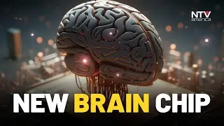 Prototype 'Brain-like' chip promises greener AI, says tech giant