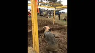 Tough Mudder vs Bowtied Spartan