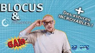 LMDLB#4 - LE BLOCUS EN BIBLI (AFFLUENCES)