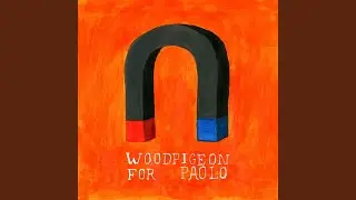For Paolo (Acoustic)