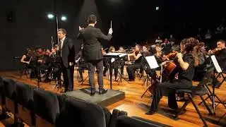 Tema e Três Variações - Lino Guerreiro (Solista: David Costa)