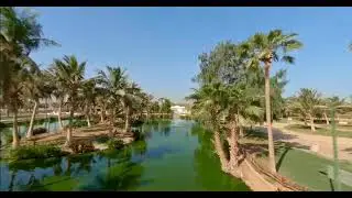 Arabia Saudita