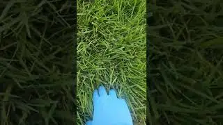 It's time to cut grass again!!!! #TTTF