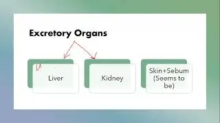 Homeostasis/Chapter 15/ Excretion in Vertebrates___Urea Cycle/ Lec 1