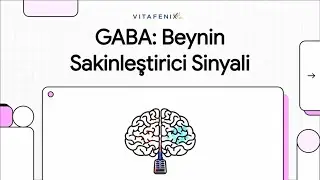 What is Gaba and How is it Used? What are the Benefits of Gaba Supplements? #vitafenix #gaba #sup...