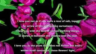 Sonnet XVII from 