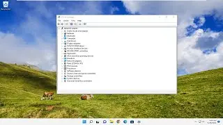 Cosa fare se il pc non rileva il microfono?