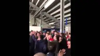 Wolves at blues