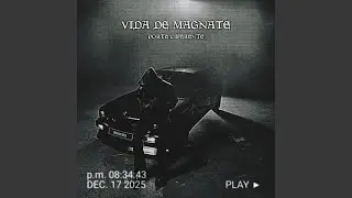 Vida De Magnate