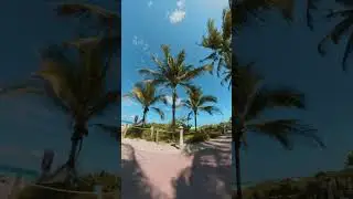 Miami Beach views 🚲 🏝️ #miami #bike #rides