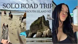 SOUTH ISLAND ROAD TRIP;  Kaikoura, seal pups, Kaiteriteri, horse riding on the beach, Cape Farewell!