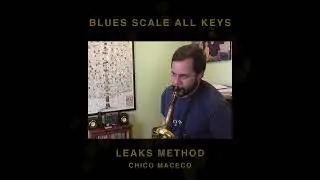 Blues Scale Improv All Keys - Chico Maceco Leaks Method