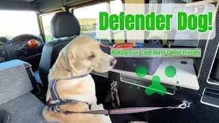 My Simple DIY Dog Restraint System for Land Rover Defender Camping Adventures