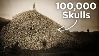 How the Largest Animal Massacre in History Changed America Forever