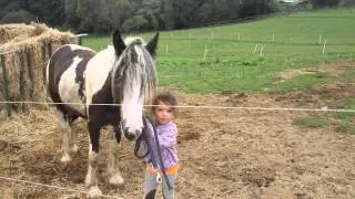 GAZDOVSTVO UHLISKÁ-ZAVADA-NEMŠOVÁ.