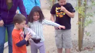 Grandpa's experiment I